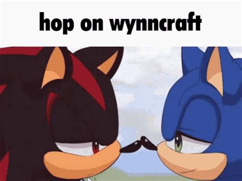 Wynncraft Shadow The Hedgehog GIF - Wynncraft Shadow The Hedgehog Sonic ...