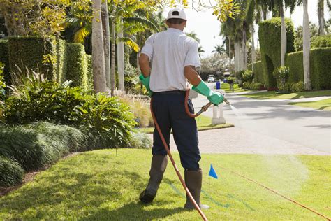 Lawn Spraying Services, Bartow | The Other Side Pest Control Inc.