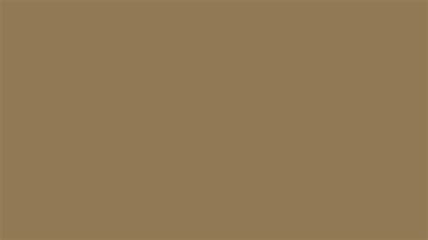 Pantone 17-1028 Tcx Antique Bronze Color | Hex color Code #907954 ...