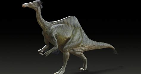 Mystery solved: monster dinosaur had 8-foot arms, weighed 14,000 pounds