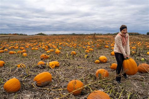 How to Start a Pumpkin Patches Business - Discover the Benefits