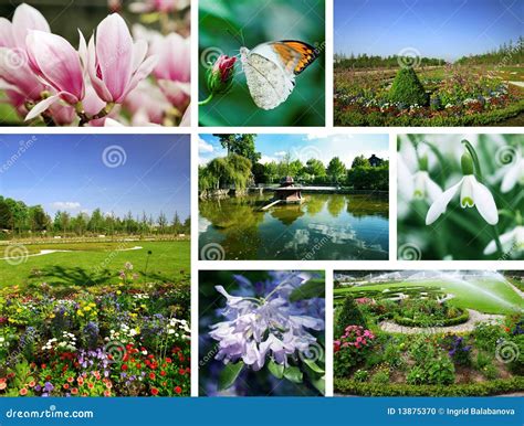 Flowers And Gardens Stock Photo - Image: 13875370