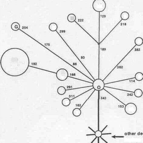 Reconstruction of human mtDNA haplogroup U sub-cluster U3 lineages ...