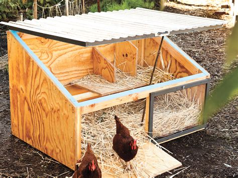 Chicken Coop Ventilation: Ideas, Design, Fans, & How To Guide