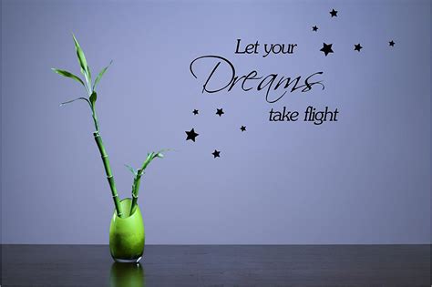 Amazon.com: Let Your Dreams take Flight Vinyl Wall Decals Quotes ...