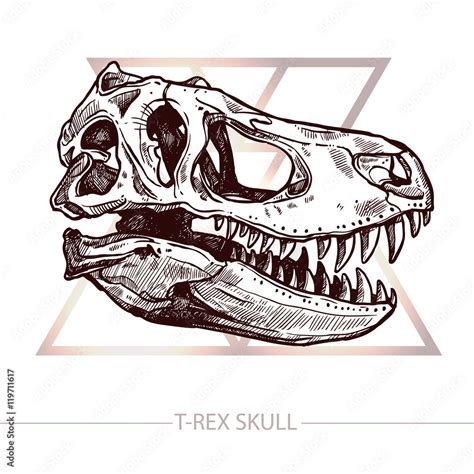 Dinosaur Skull. Trendy Design With Drawing Of T-Rex Skull Stock Vector | Adobe Stock