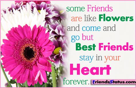 Flower Quotes About Friendship. QuotesGram