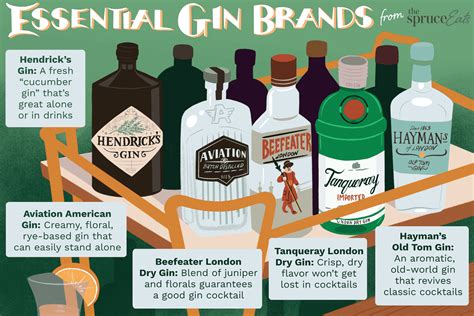 8 Best Bottles of Gin That You Need to Know