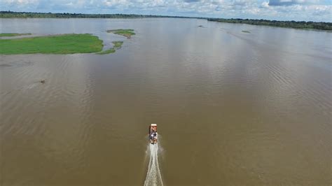 Amazon River | Trips Amazon River | Amazon Lodge Iquitos | Amazon River ...