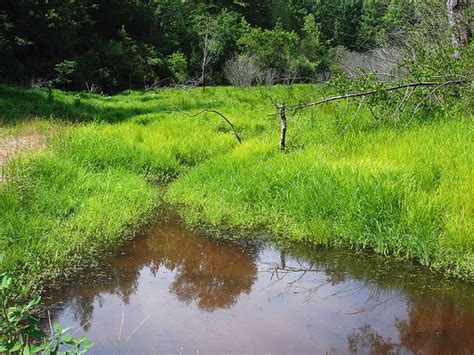 James River State Wildlife Management Area, a Virginia State Wildlife ...