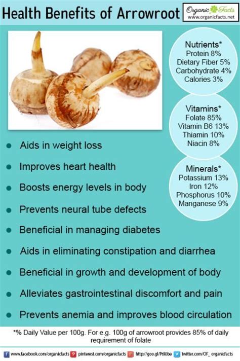 Some of the most impressive health benefits of arrowroot include its ability to promote growth ...