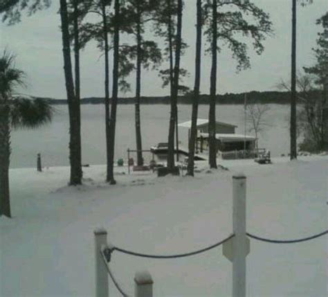 Wintery weather Lake Robinson, Hartsville SC | South carolina, Lake ...