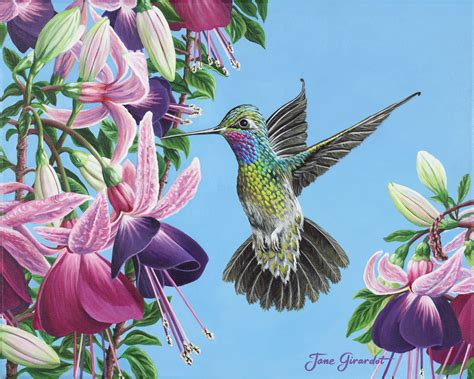 hummingbird color drawings - Google Search | Hummingbird painting, Hummingbird artwork, Painting