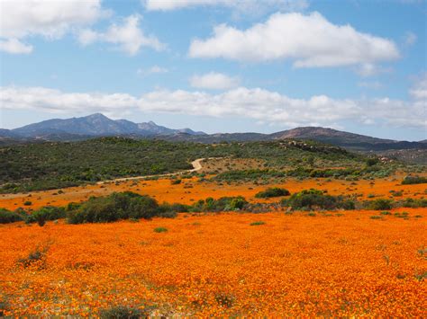 Namaqua National Park Foto & Bild | africa, southern africa, south africa Bilder auf fotocommunity