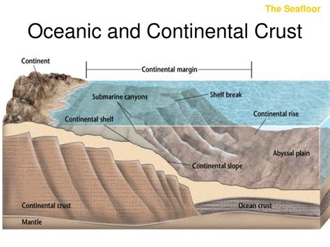 Continental Vs Oceanic Crust In 2021 Plate Tectonics - vrogue.co