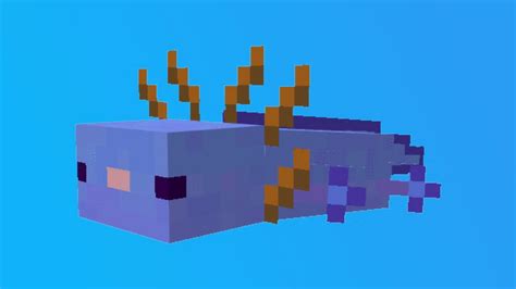 What is the rarest Axolotl in Minecraft and how to get it?