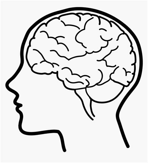 Human Brain Clip Art - Easy Drawing Of A Brain, HD Png Download , Transparent Png Image - PNGitem