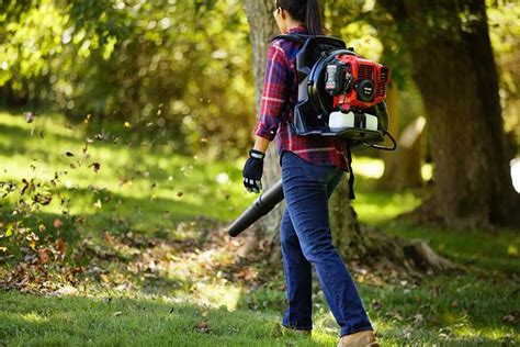 Best Backpack Leaf Blower Reviews 2022 - Pro Tool Reviews