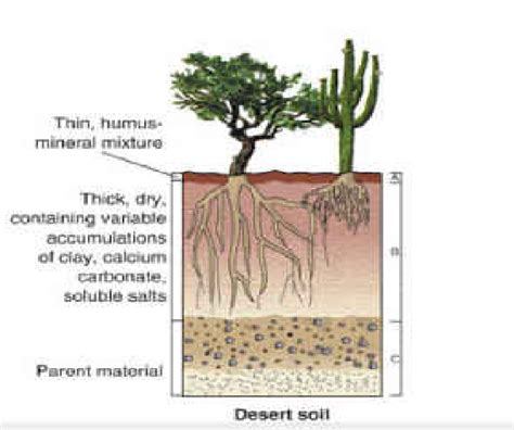 Soil - Deserts