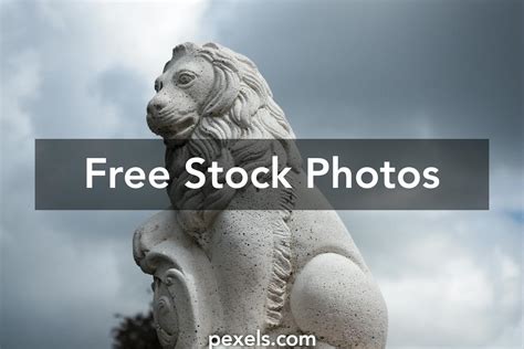 Lion Statue In Singapore Photos, Download The BEST Free Lion Statue In ...