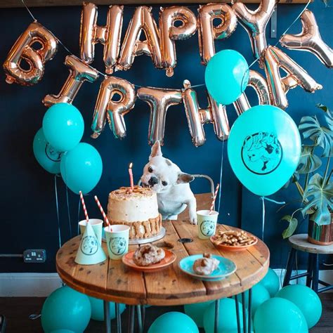 Awesome Dog Birthday Decoration Ideas! | Dog birthday pictures, Puppy birthday parties, Dog ...