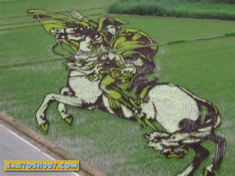 Paddy Field Art of Japan | Craziest Photo Collection