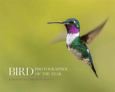 Bird Photographer of the Year, Collection 8 | NHBS Good Reads