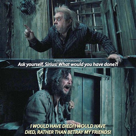 List Of Sirius Black Quotes From Prisoner Of Azkaban Poster Ideas – QUOTES