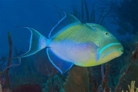 Woods Hole Science Aquarium - America's Oldest Marine Aquarium