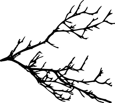 Tree Clipart Outline | Free download on ClipArtMag