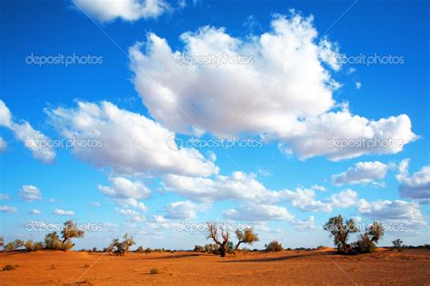 Sahara Desert landscape, Africa Stock Photo by ©rechitansorin 25886601