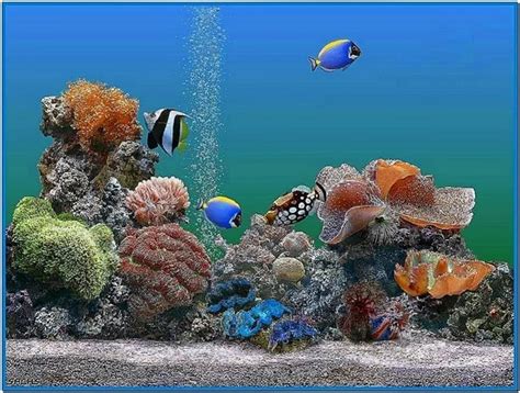 Aquarium desktop animated screensaver - Download free