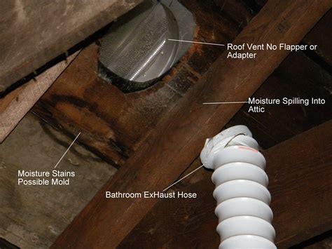 Install Roof Vent For Bathroom Fan – HomeDecorish