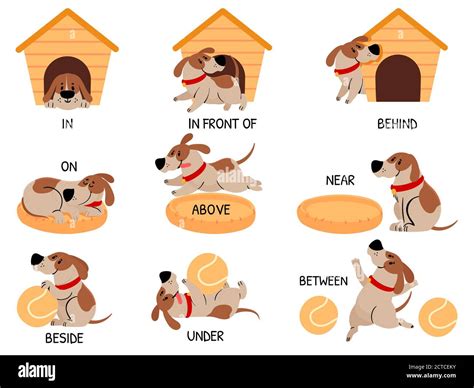 English prepositions with cute animal. Cartoon dog behind, above, near ...