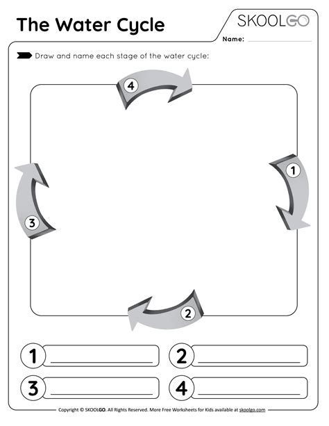 The Water Cycle - Free Worksheet - SKOOLGO - Worksheets Library