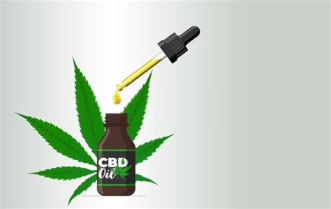 What Is CBD Oil? An In Depth Look At Benefits And Forms