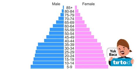 Apa Saja Jenis Piramida Penduduk dan Contohnya?
