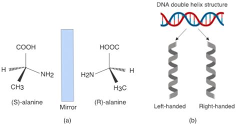-Examples of chiral molecules in case of (a) alanine amino-acid, and ...
