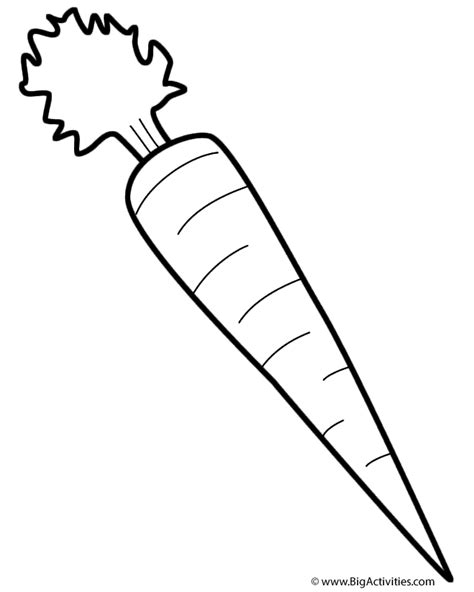 Carrot - Coloring Page (Fruits and Vegetables)