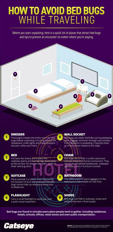 Do you know how to avoid contact with bed bugs while traveling? | Bed bugs, Avoid bed bugs ...