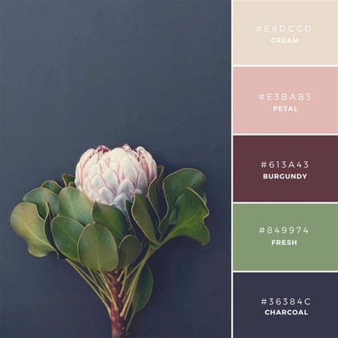 Vibrant Color Palette Combos Take Colors From the World to Inspire Creativity | Room color ...