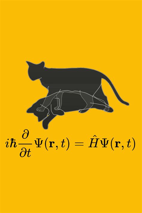 Schrodinger's cat and and the equation of quantum mechanics ...