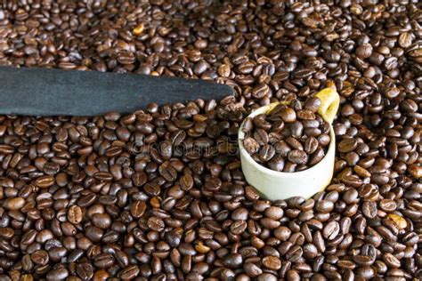 Roasted Coffee stock image. Image of food, beans, roasted - 45942643