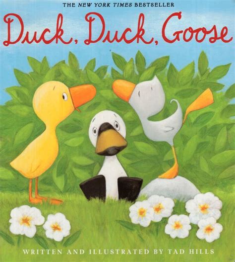 Duck Duck Goose (Duck and Goose) (Board Book)