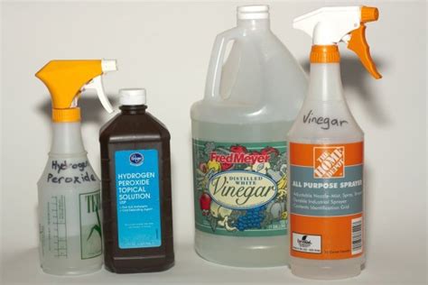 Sanitizing with Vinegar and Hydrogen Peroxide | ThriftyFun