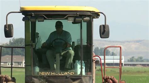 Study details how devastating the drought has been on California agriculture - California State ...