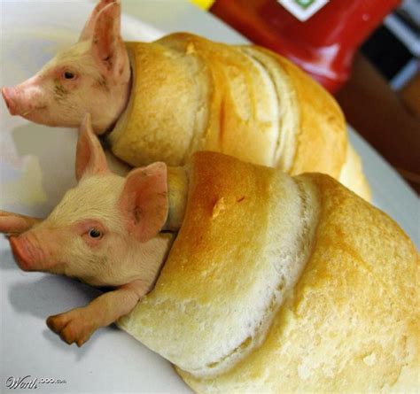 because too often your "food" was someone | Pigs in a blanket, Food humor, Pig