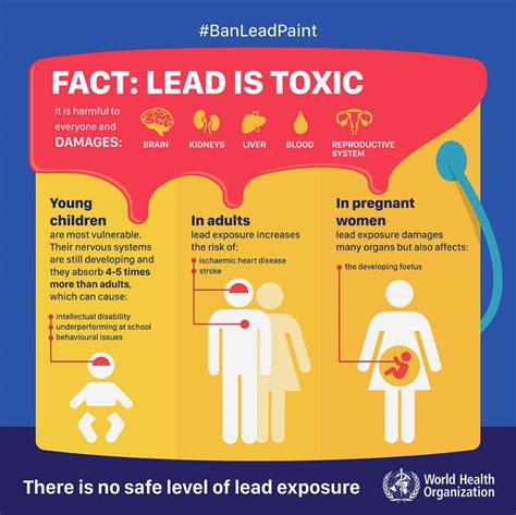 No Safe Level Of Lead Exposure – Consumers Association Penang