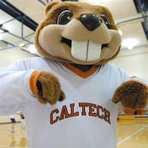 The Beaver | Mascot Hall of Fame