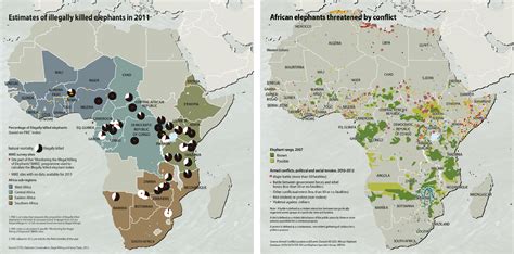 Illegal Elephant Poaching in Africa | Earth.Org